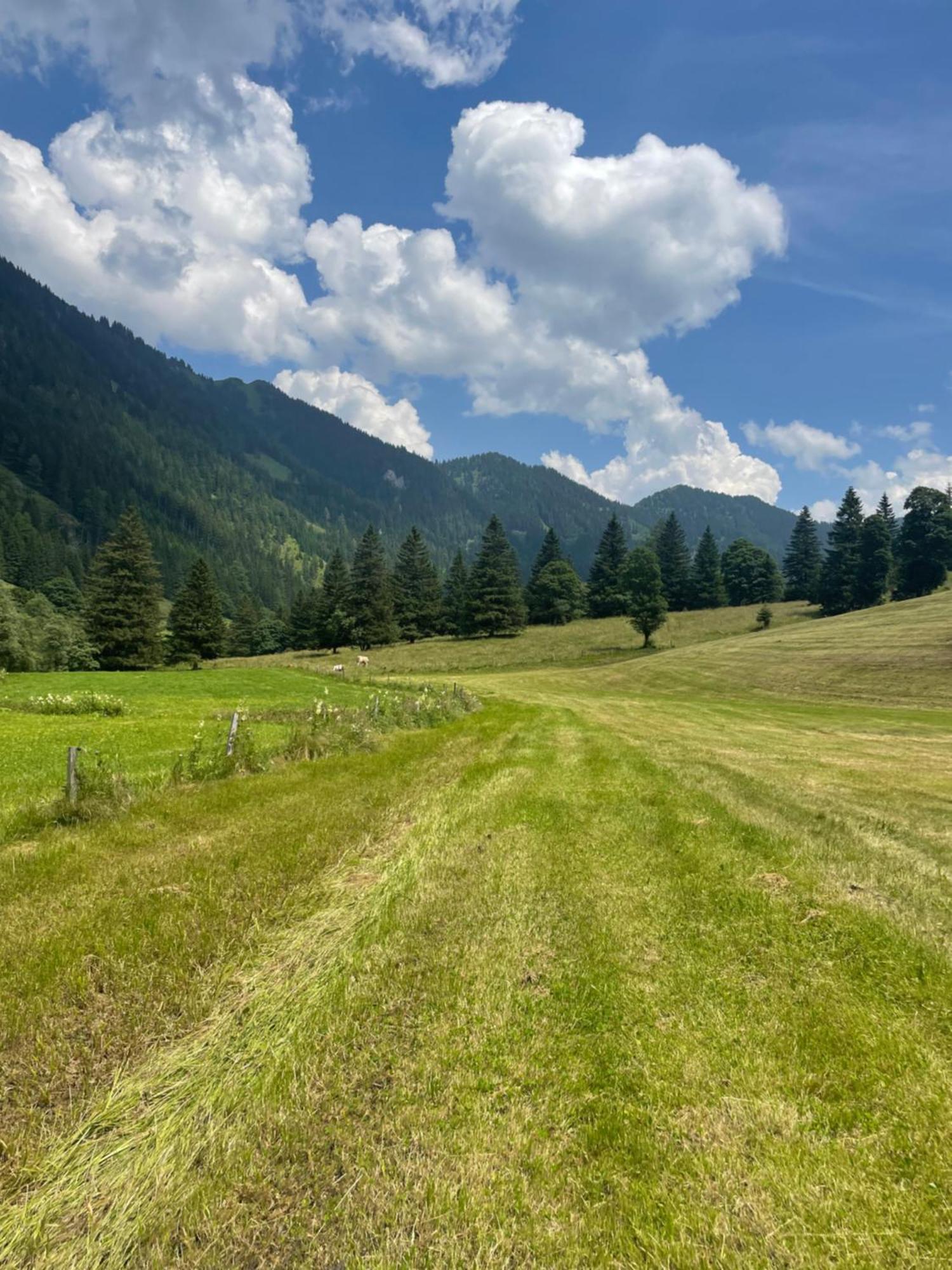 Ferienwohnungen Bianca Hasler - Stallbauer Pusterwald Exterior foto